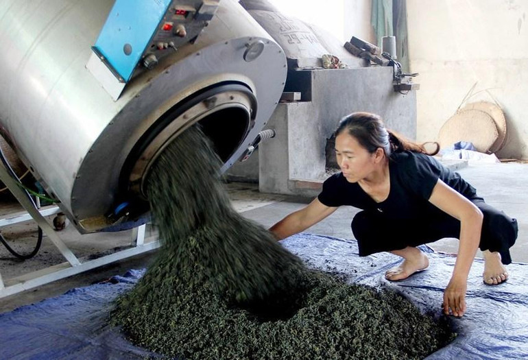 Người dân xã Hùng Sơn, huyện Anh Sơn xây dựng cơ sở chế biến chè từ nguồn vốn vay tín dụng ưu đãi chương trình sản xuất kinh doanh vùng khó khăn phát triển kinh tế hộ.