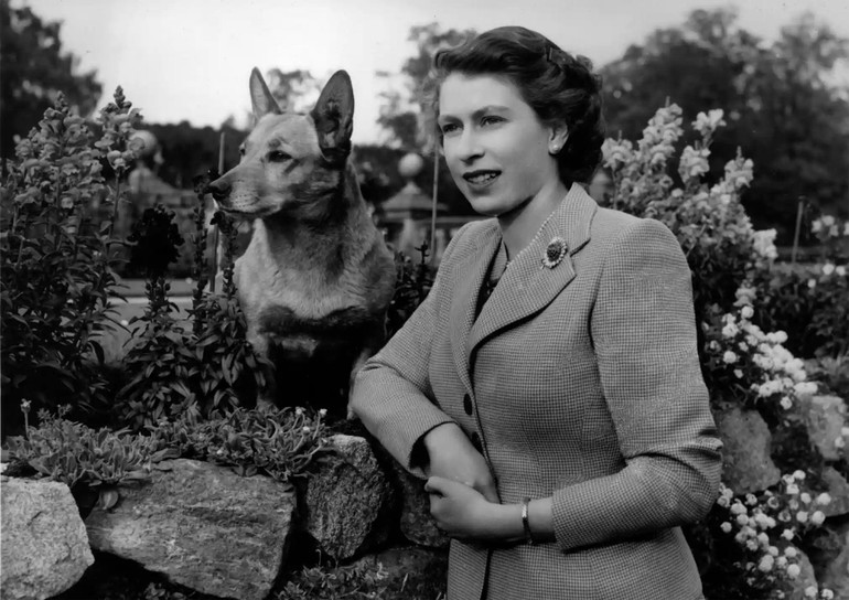 Elizabeth trong khuôn viên Lâu đài Balmoral (Scotland), năm 1952. (Ảnh: Getty Images)