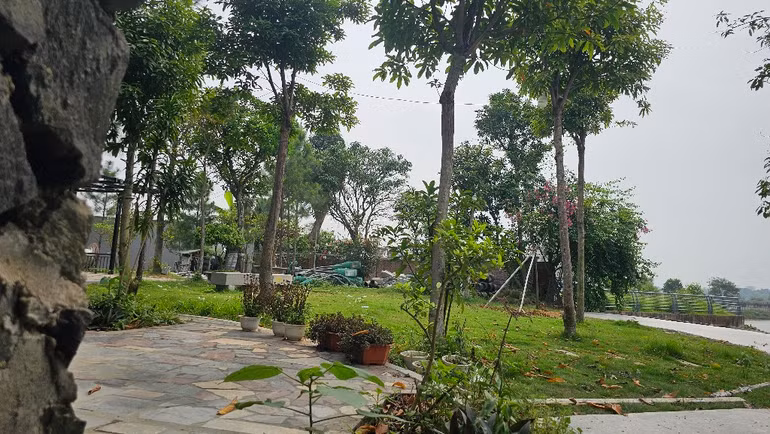 Khu đất người dân lấn chiếm trái phép.