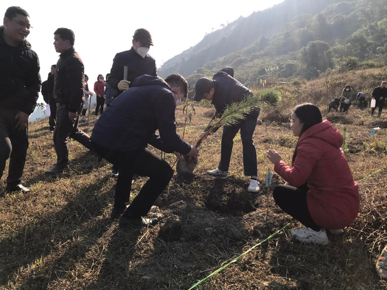 Các loại cây trồng trong lễ phát động chủ yếu là các loài cây gỗ lớn. (Trong ảnh: Người dân trồng cây thông).