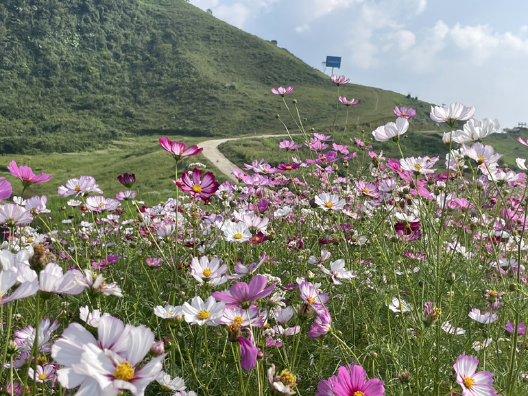 Khu vực sẽ diễn ra hội Xuân Mù Là, huyện Pác Nặm trong những ngày tới. (Ảnh: Lường Loan)