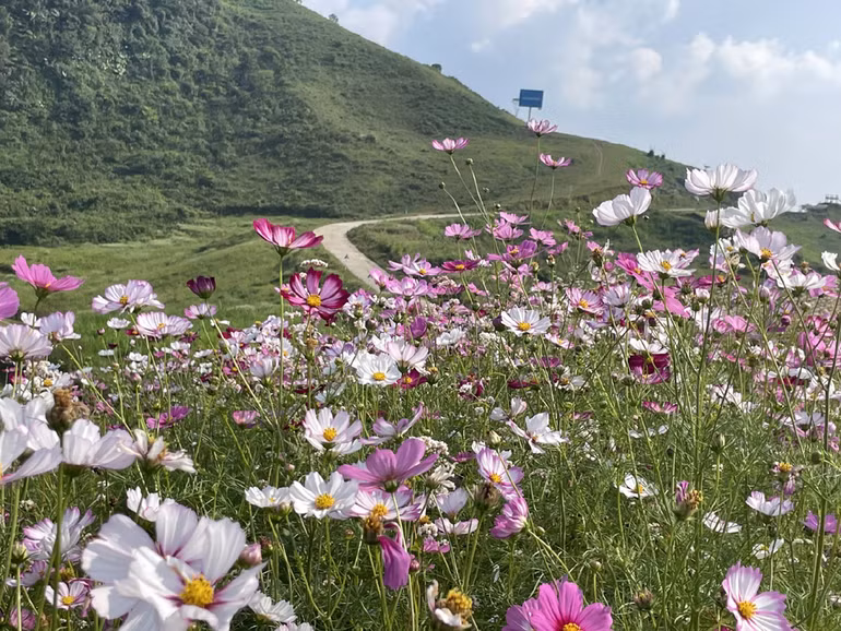 Khu vực sẽ diễn ra hội Xuân Mù Là, huyện Pác Nặm trong những ngày tới. (Ảnh: Lường Loan)