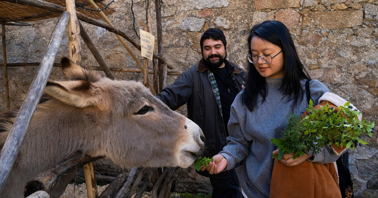 Hà Lệ Diễm trong một lần đến châu Âu.