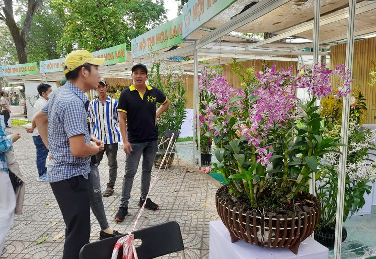 Người dân Thành phố Chí Minh thưởng lãm hoa lan tại Festival hoa lan Thành phố Hồ Chí Minh.