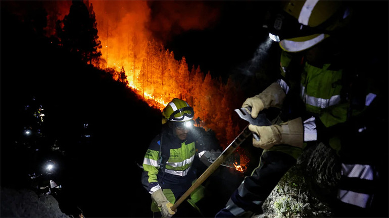 Lực lượng cứu hỏa dập đám cháy tại Arafo trên đảo Tenerife, ngày 16/8/2023. (Ảnh: Reuters) Lực lượng cứu hỏa dập đám cháy tại Arafo trên đảo Tenerife, ngày 16/8/2023. (Ảnh: Reuters)