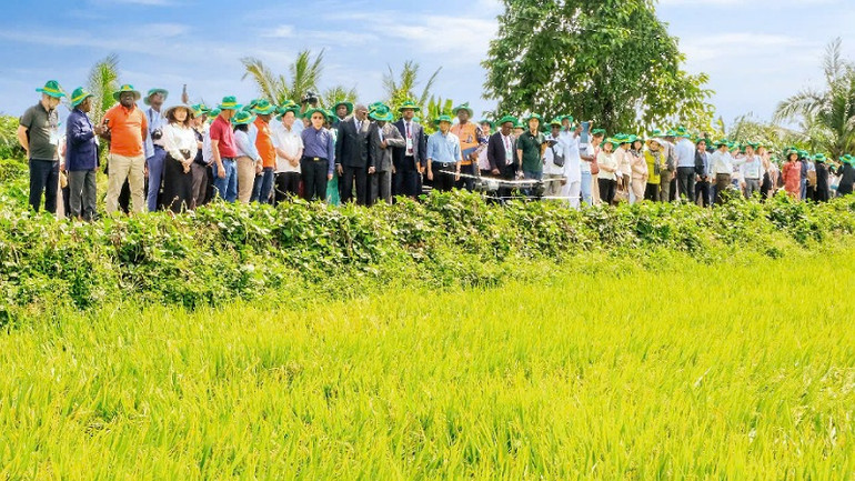 Đoàn đến thăm Hợp tác xã New Green Fram.