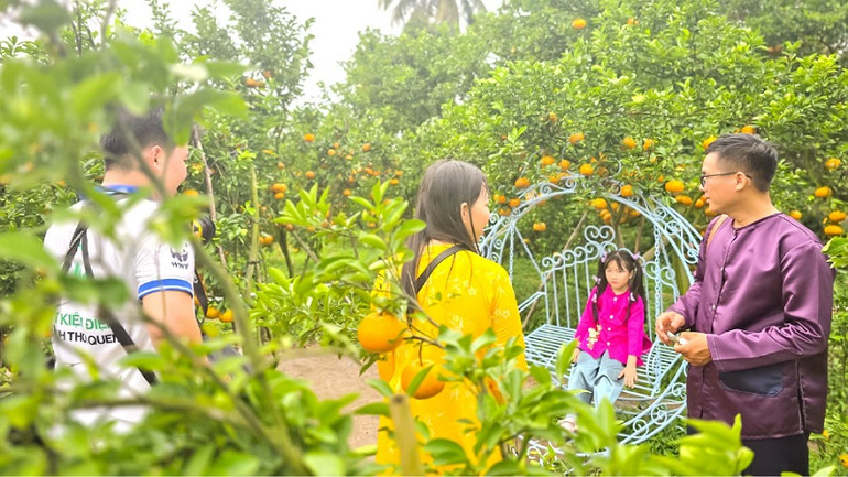 Nhà vườn quýt hồng của ông ba Muôi ở phường Long Tuyền, quận Bình Thủy mở cửa đón khách tham quan trong dịp Tết.