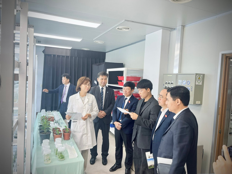 Thăm và làm việc với Viện Nghiên cứu nông nghiệp tỉnh Chungcheongbuk.