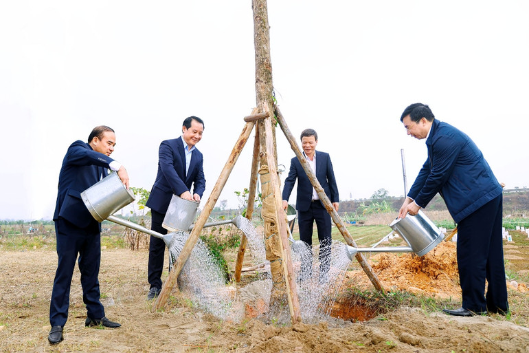 Phó Bí thư Thường trực Tỉnh ủy Phạm Hoàng Anh và đại biểu trồng cây tại thành phố Phúc Yên.