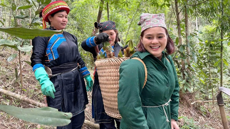 Thu hoạch măng là công việc đem lại thêm thu nhập cho người dân vùng cao của huyện Chợ Đồn. (Ảnh: HÀ TUYẾT)