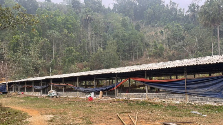 Một hệ thống chuồng trại chăn nuôi của Hợp tác xã Bánh chưng xanh tại thôn Pác Khoang. (Ảnh: NGỌC TÚ) Một hệ thống chuồng trại chăn nuôi của Hợp tác xã Bánh chưng xanh tại thôn Pác Khoang. (Ảnh: NGỌC TÚ)