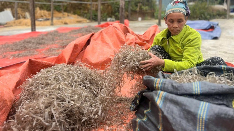 Miến tráng tay theo phương pháp thủ công cho sợi miến to hơn nhưng chất lượng cũng thơm, ngon hơn. (Ảnh: NGỌC TÚ)