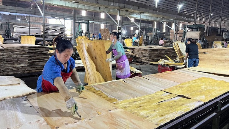 Hoạt động sản xuất tại nhà máy của Công ty Trách nhiệm hữu hạn Leechenwood Việt Nam. (Ảnh: TUẤN SƠN)