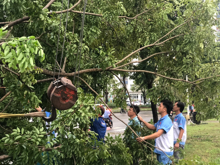 Lực lượng cứu hộ tại chỗ của công ty Cienco 5 xử lý cây xanh bị ngã đổ. (Ảnh: VĂN TOẢN)