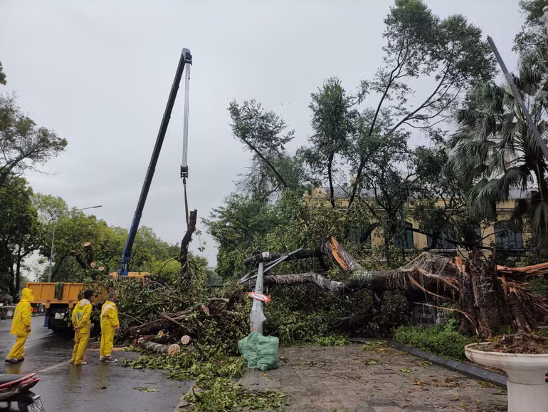 Dọn dẹp tại khu vực cây cổ thụ gần Tượng đài Lý Thái Tổ. (Ảnh: DUY LINH)