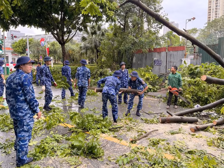 Cán bộ, chiến sĩ Cảnh sát biển phối hợp thu dọn cây xanh bị đổ sau bão số 3 để bảo đảm giao thông thông suốt.
