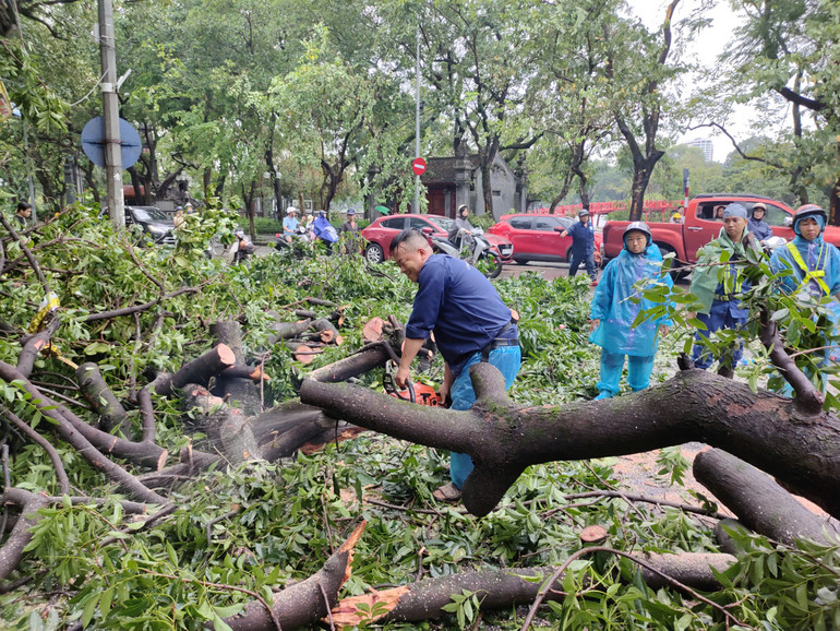 Tại khu vực đền Bà Kiệu, lực lượng chức năng đang khẩn trương xử lý cây bị đổ. (Ảnh: DUY LINH)