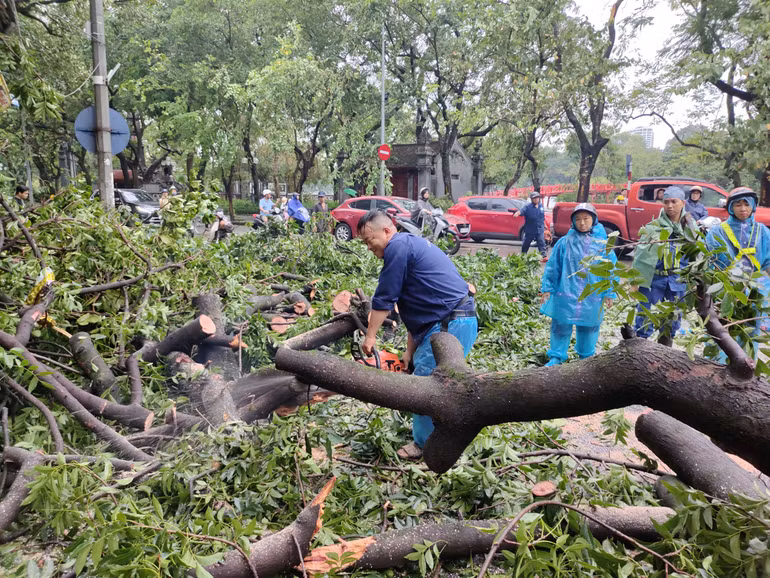 Tại khu vực đền Bà Kiệu, lực lượng chức năng đang khẩn trương xử lý cây bị đổ. (Ảnh: DUY LINH)