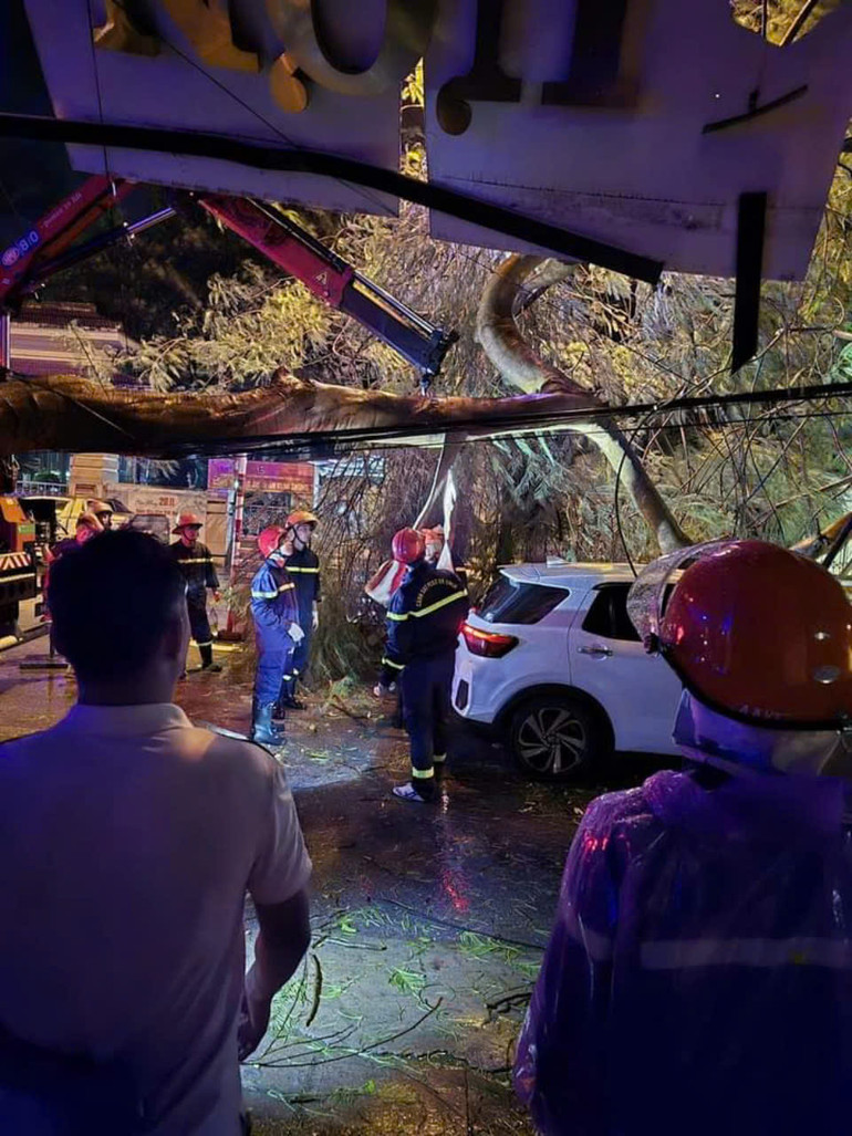 Tối 7/9, Công an tỉnh Vĩnh Phúc huy động lực lượng cứu hộ cứu nạn cùng nhân dân khắc phục hậu quả cây đổ, thông đường.