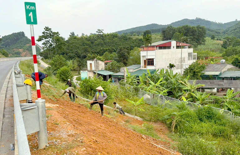 Công nhân trồng bổ sung cỏ tại các mái ta-luy để chống xói lở đất.