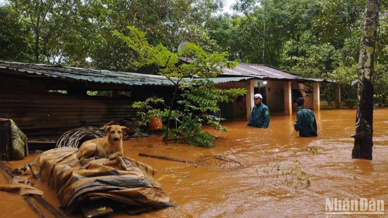 Nhiều nhà dân ở huyện Phú Riềng ngập sâu trong nước. Nhiều nhà dân ở huyện Phú Riềng ngập sâu trong nước.
