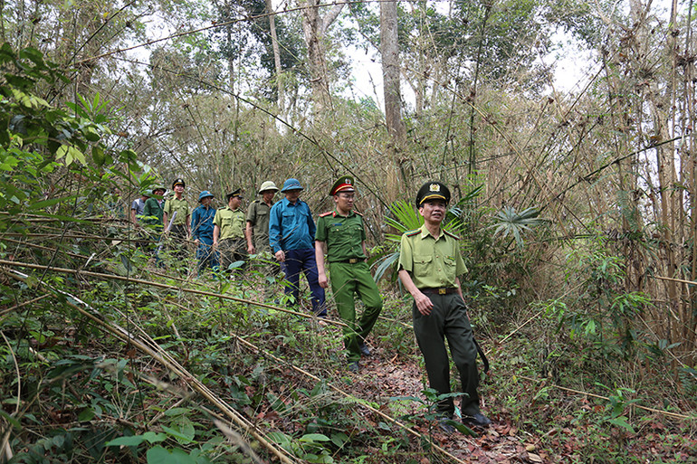 Cán bộ kiểm lâm huyện Sơn Dương phối hợp các tổ, đội tuần tra, bảo vệ rừng. Cán bộ kiểm lâm huyện Sơn Dương phối hợp các tổ, đội tuần tra, bảo vệ rừng.