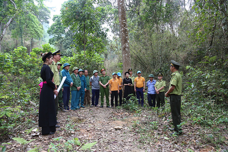 Tuyên truyền về công tác bảo vệ rừng cho các cán bộ, người dân và hướng dẫn viên thuộc Ban quản lý Khu di tích Quốc gia đặc biệt Tân Trào. Tuyên truyền về công tác bảo vệ rừng cho các cán bộ, người dân và hướng dẫn viên thuộc Ban quản lý Khu di tích Quốc gia đặc biệt Tân Trào.