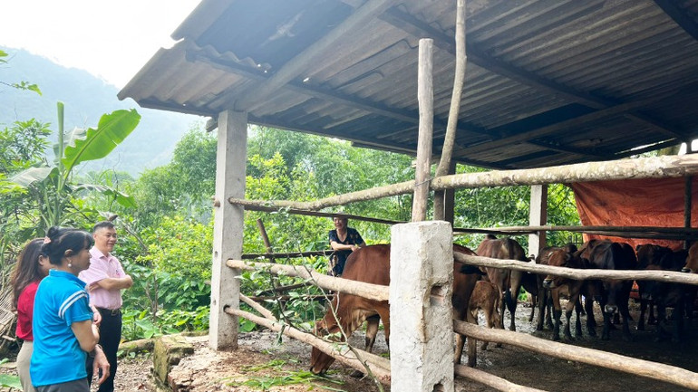 Cán bộ Phòng giao dịch Ngân hàng Chính sách xã hội huyện Chợ Đồn kiểm tra tình hình sử dụng vốn vay tại hộ vay. (Ảnh: THU TRANG)