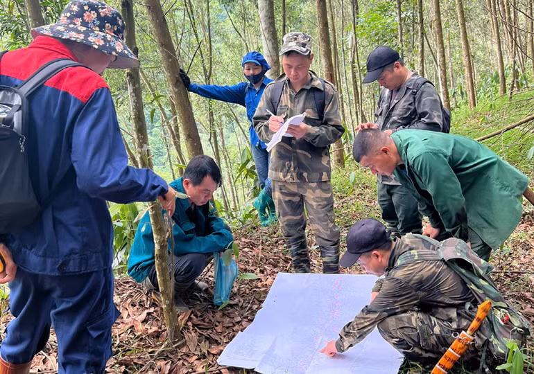 Thống kê, kiểm đếm ngoài thực địa phục vụ giải phóng mặt bằng cho dự án. (Ảnh: ĐĂNG TRÌNH)