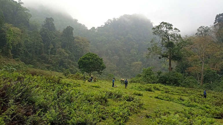 Một thung lũng nằm giữa rừng già trong khu bảo tồn rất phù hợp cho phát triển du lịch cắm trại. Ảnh: ĐĂNG BÁCH.
