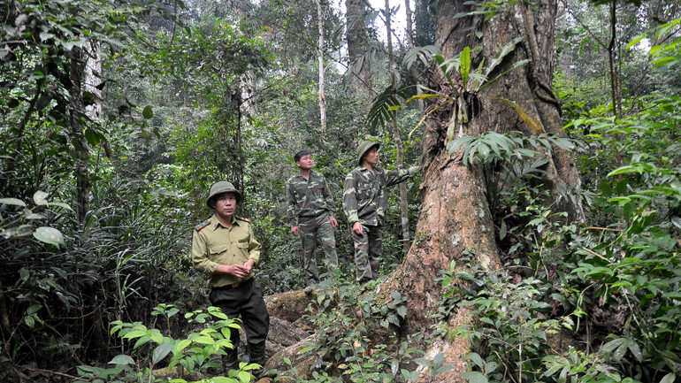 Lực lượng Kiểm lâm tăng cường tuần tra, bảo vệ rừng.
