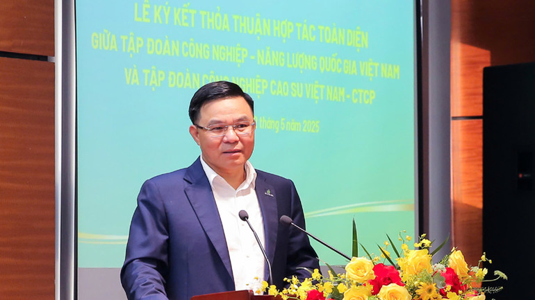 Chủ tịch Hội đồng thành viên Petrovietnam Lê Mạnh Hùng phát biểu tại lễ ký hợp tác.