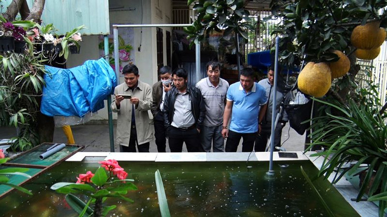 Nông dân Đắk Hà làm giàu từ nuôi cá Koi.