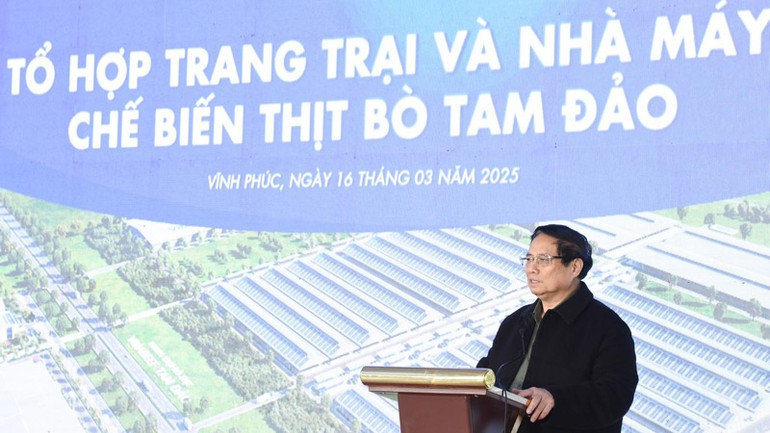 Thủ tướng Phạm Minh Chính phát biểu ý kiến. (Ảnh: TRẦN HẢI)