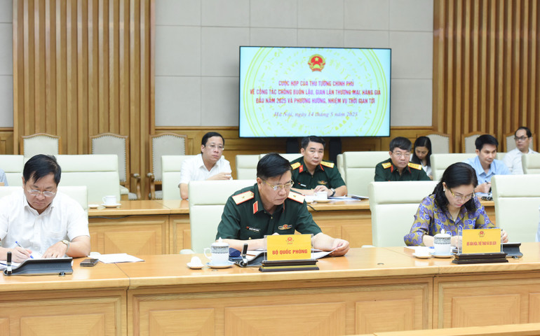 Phó Thủ tướng Chính phủ Bùi Thanh Sơn - Trưởng Ban Chỉ đạo 389 quốc gia phát biểu ý kiến tại cuộc họp. (Ảnh: TRẦN HẢI)