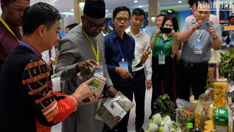 Bình Phước đẩy xúc tiến đầu tư các dự án FDI vào lĩnh vực nông nghiệp.