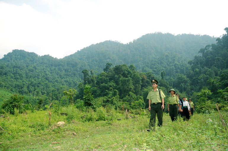 Năm 2023, Việt Nam đã bán thành công hơn 10 triệu tín chỉ carbon rừng. Ảnh: Trần Hải Năm 2023, Việt Nam đã bán thành công hơn 10 triệu tín chỉ carbon rừng. Ảnh: Trần Hải
