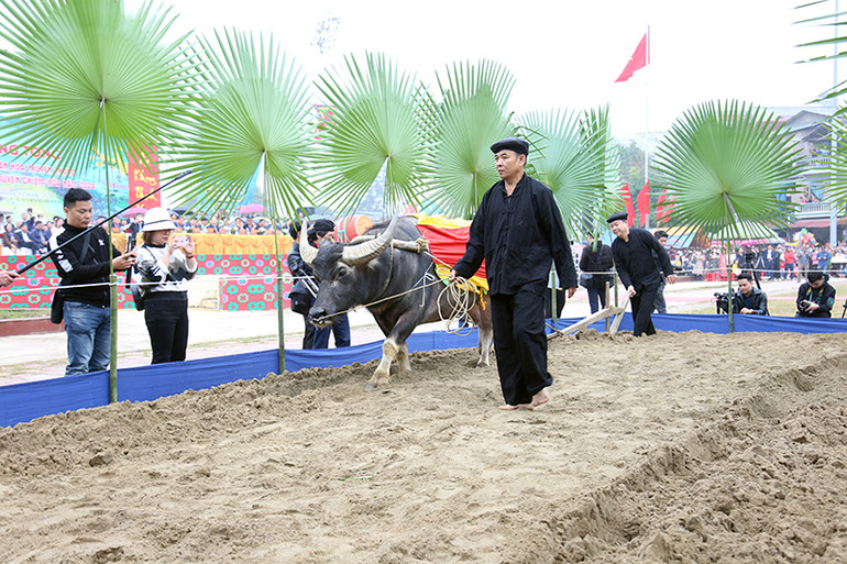 Nghi thức xuống đồng cày ruộng tại Lễ hội.