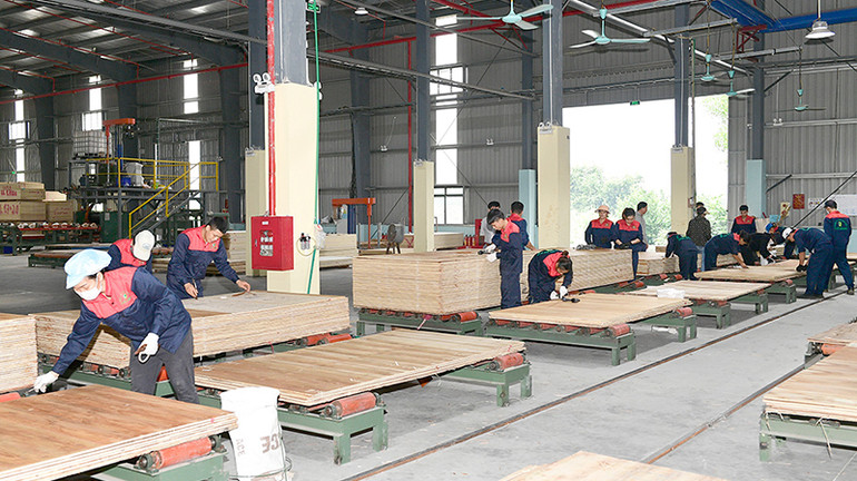 Công nhân Công ty trách nhiệm hữu hạn Sao Việt Tuyên Quang sản xuất gỗ ép xuất khẩu. Công nhân Công ty trách nhiệm hữu hạn Sao Việt Tuyên Quang sản xuất gỗ ép xuất khẩu.