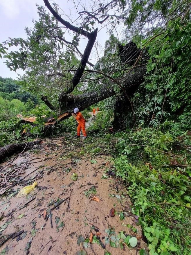 Công nhân Điện lực Thành phố tiếp cận vị trí sự cố.