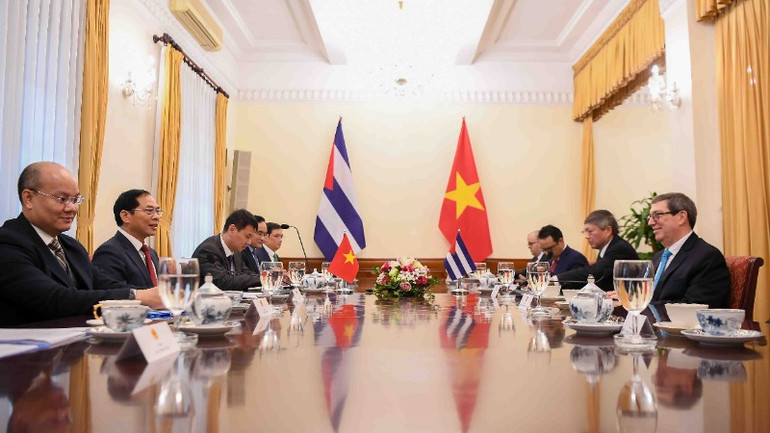 Quang cảnh cuộc hội đàm. (Ảnh: Bộ Ngoại giao Việt Nam)