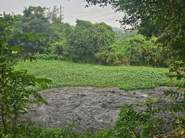 Nhiều địa điểm bị đổ rác và bùn thải. Nhiều địa điểm bị đổ rác và bùn thải.