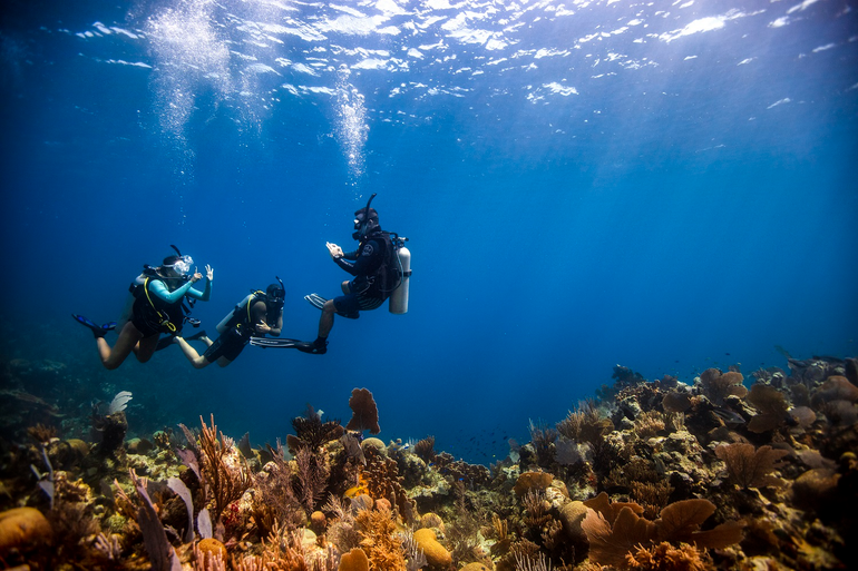 Lặn biển sinh thái đang là xu hướng được ưa chuộng. Lặn biển sinh thái đang là xu hướng được ưa chuộng.