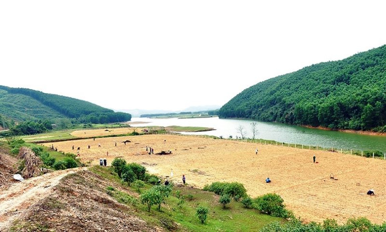 Cánh đồng sản xuất lúa của đồng bào dân tộc Chứt ở bản Rào Tre. Cánh đồng sản xuất lúa của đồng bào dân tộc Chứt ở bản Rào Tre.