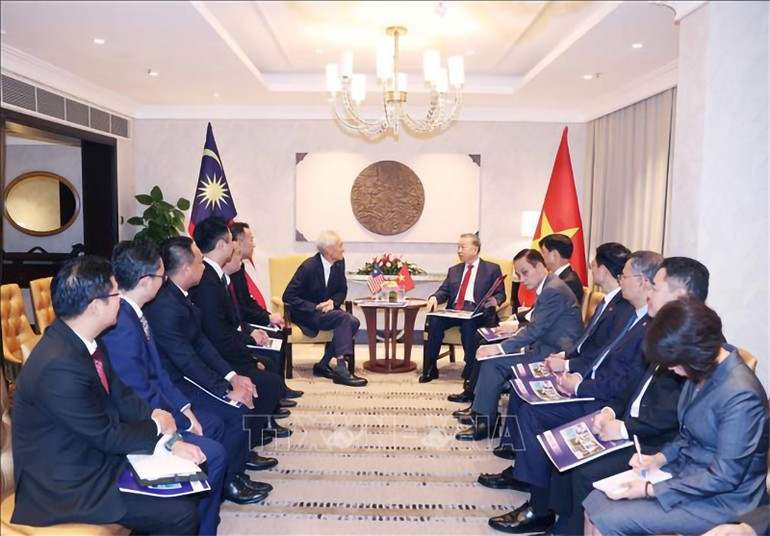 Tổng Bí thư Tô Lâm tiếp Giám đốc Điều hành Tập đoàn Gamuda Dato’ Lin Yun Ling. Ảnh: TTXVN