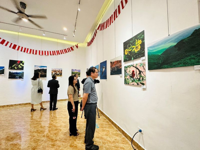 Khách tham quan triển lãm. Khách tham quan triển lãm.