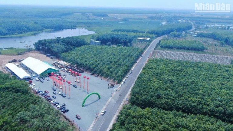 Khuôn viên Bình Phước thực hiện nghi lễ động thổ.