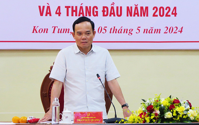 Phó Thủ tướng Trần Lưu Quang phát biểu tại hội nghị