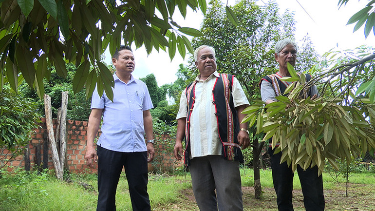 Ông A Tunh (giữa) khắc ghi lời căn dặn của Tổng Bí thư Nguyễn Phú Trọng, chú trọng phát triển kinh tế hộ gia đình. Ông A Tunh (giữa) khắc ghi lời căn dặn của Tổng Bí thư Nguyễn Phú Trọng, chú trọng phát triển kinh tế hộ gia đình.