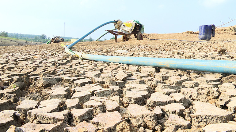 Cạn nước, đáy lòng hồ thủy lợi trơ ra những vết nứt nẻ